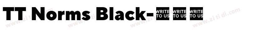 TT Norms Black字体转换